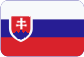 Medzinárodná doprava Slovensky